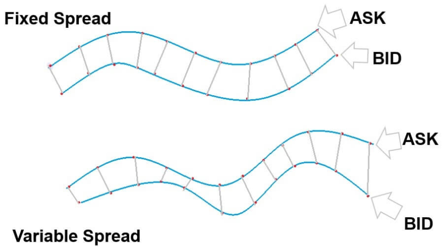 What types of spreads are in Forex